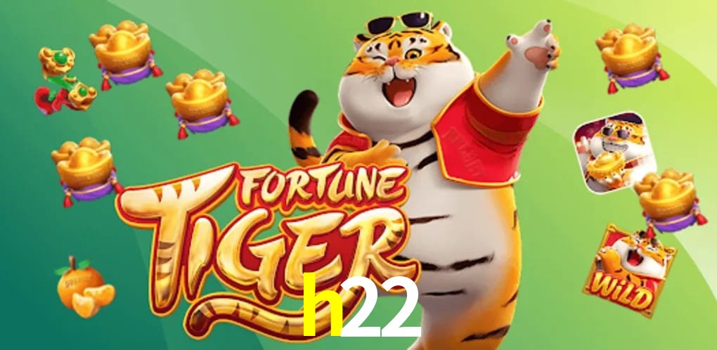 Bonus Features h22
